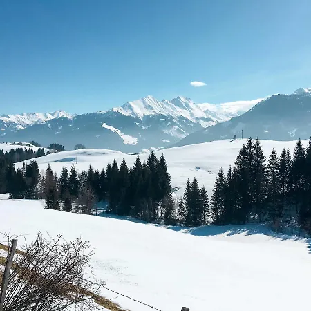 Daire Haus Benjamin 161w Hollersbach im Pinzgau
